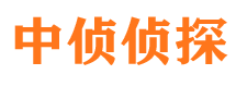 都安市调查取证